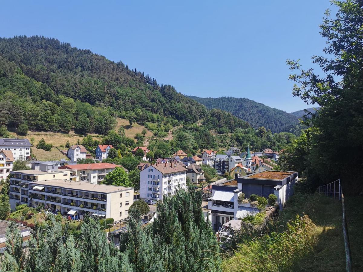 Terrassenwohnung Mit Toller Aussicht & Zentrumsnah 霍恩伯格 外观 照片
